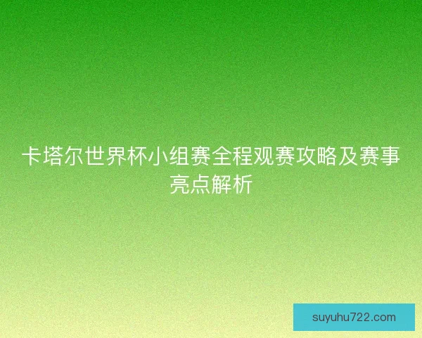 卡塔尔世界杯小组赛全程观赛攻略及赛事亮点解析