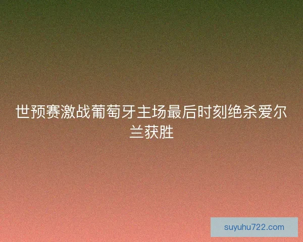 世预赛激战葡萄牙主场最后时刻绝杀爱尔兰获胜