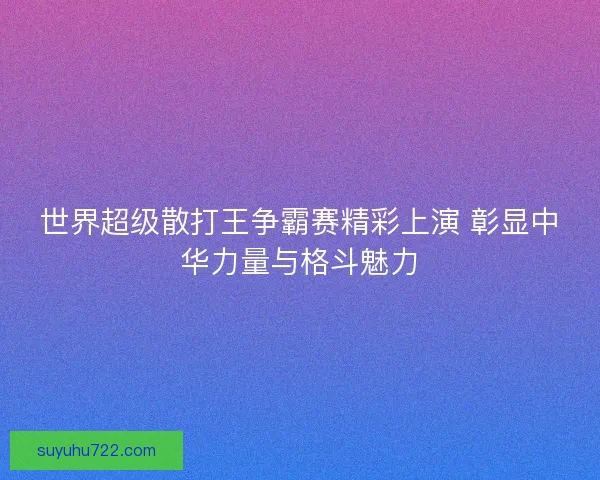 世界超级散打王争霸赛精彩上演 彰显中华力量与格斗魅力